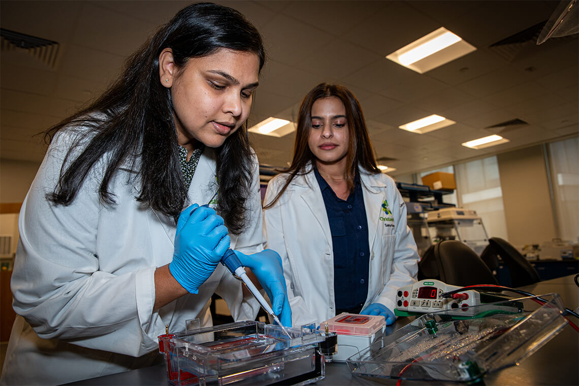 Diversity Commitment