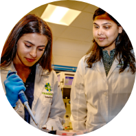 Our Diversity Commitment